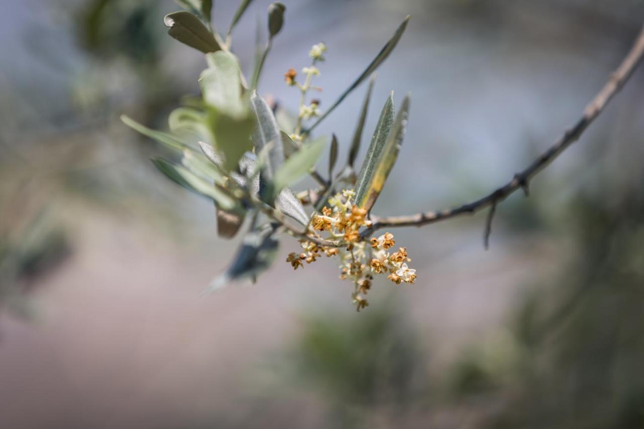 Appartamento Alvavista1 Τρέβι Εξωτερικό φωτογραφία